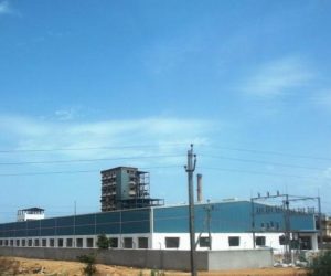 Pearl Distillery Limited